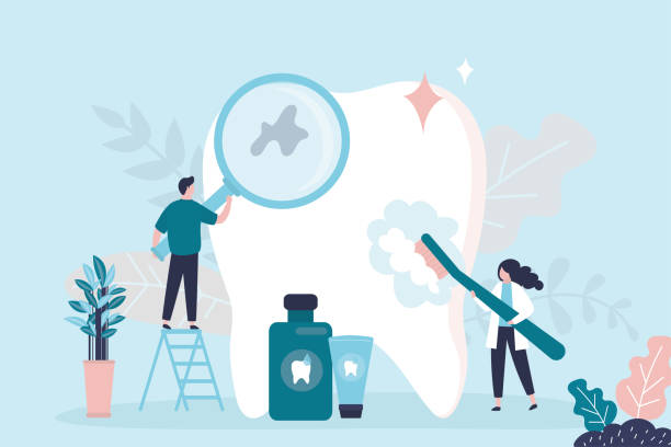 Professional Dental Services in Forest Acres, SC